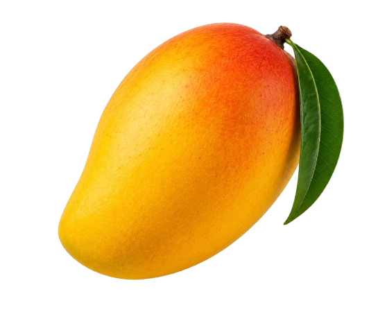 Sindhri